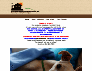 foreverhomegreyhounds.com screenshot
