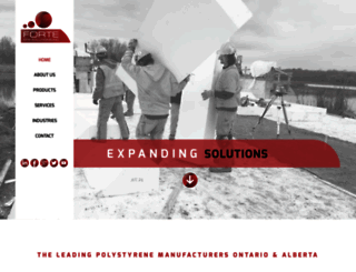 forte-eps-solutions.com screenshot