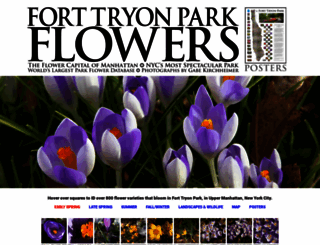 forttryonflowers.com screenshot