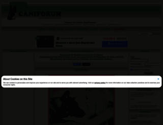 forum-chien.com screenshot