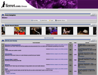 forum.ferret.com screenshot