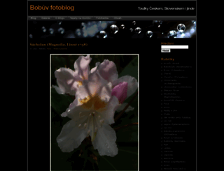 fotoblog.in screenshot