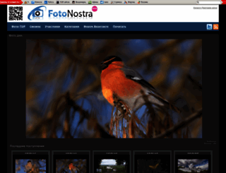 fotonostra.ru screenshot