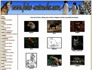 fotos-animales.com screenshot