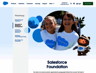 foundation.force.com screenshot