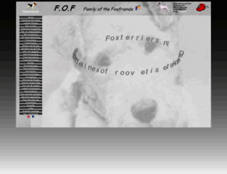 foxterriers.nl screenshot