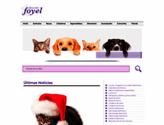 foyel.com screenshot