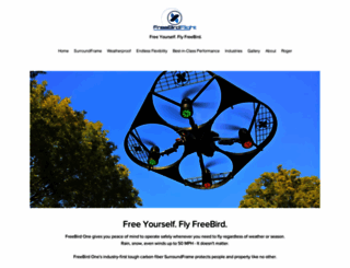 freebirdflight.com screenshot