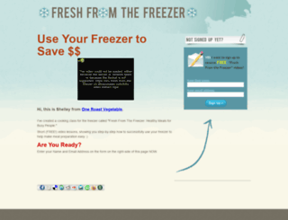 freshfromthefreezer.com screenshot