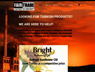 ft-turkey.com screenshot