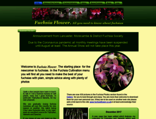 fuchsiaflower.co.uk screenshot
