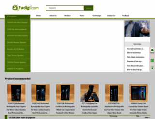 fudigi.com screenshot