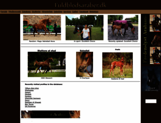 fuldblodsaraber.dk screenshot