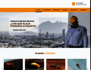 fumigacionesrangel.com.mx screenshot