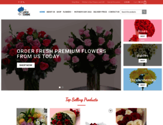 funmiflowers.com screenshot