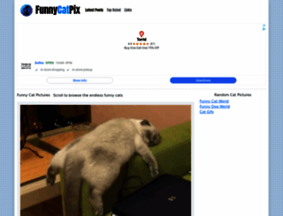 funnycatpix.com screenshot