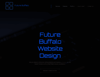 futurebuffalowebdesign.com screenshot