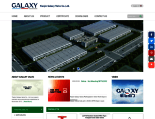 galaxyvalves.com screenshot
