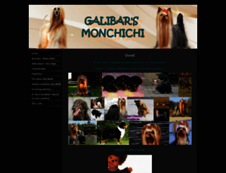 galibar.com screenshot