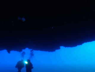 gardenisledivers.com screenshot