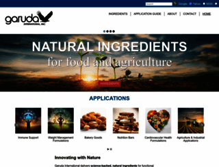 garudaint.com screenshot