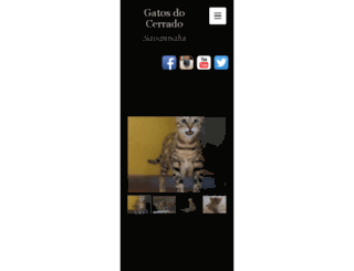 gatosdocerrado.com screenshot