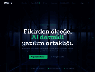gaviaworks.com screenshot