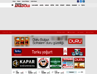 gazeteanadolu.com screenshot