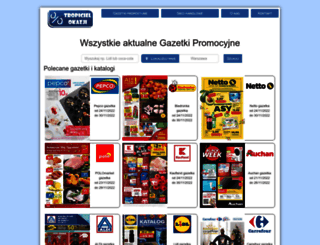 gazetki-promocyjne.net.pl screenshot