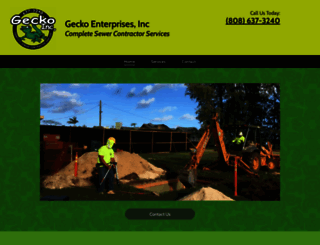 geckoseptic.com screenshot