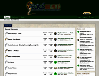 geckosunlimited.com screenshot