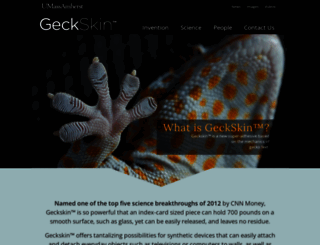 geckskin.umass.edu screenshot