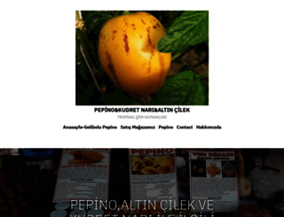 gelibolupepino.com screenshot