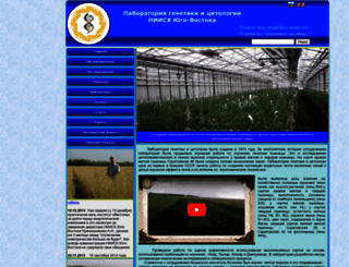 genetika-ariser.ru screenshot