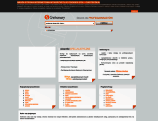 getionary.com.pl screenshot