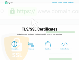 getsslnow.com screenshot