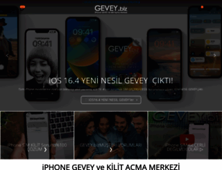 gevey.biz screenshot