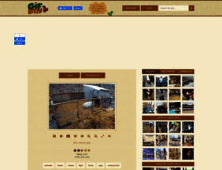 gifbin.com screenshot