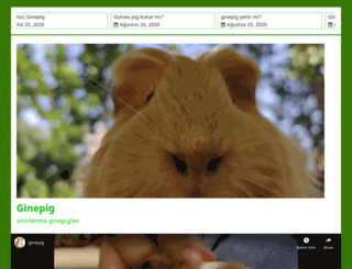 ginepig.com screenshot