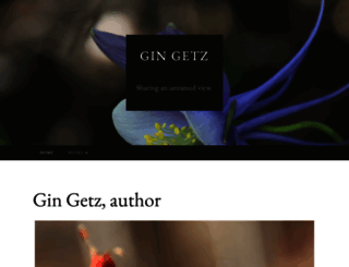 gingetz.com screenshot