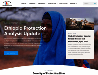 globalprotectioncluster.org screenshot