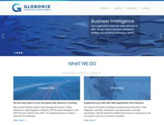 globonix.com screenshot