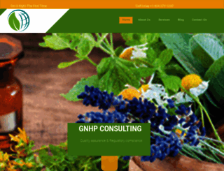 gnhpconsulting.com screenshot