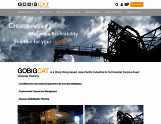 gobigcat.com screenshot