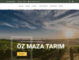 gojiberryy.com screenshot