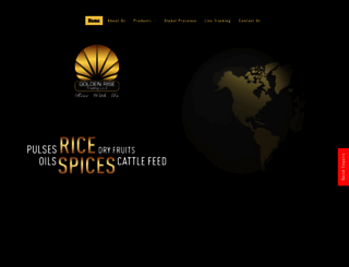 golden-rise.com screenshot