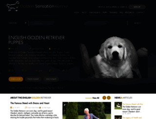 goldensensationkennel.com screenshot
