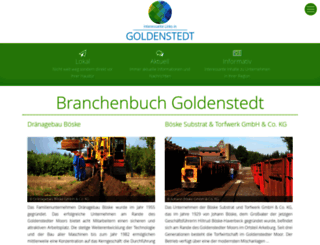 goldenstedt-links.de screenshot