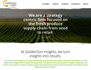 goldensuninsights.com screenshot