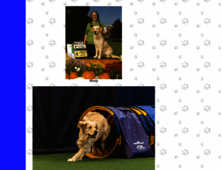 goldiggers.com screenshot